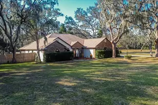 11205 Kerry Hills Ct, Riverview, FL 33569 - Photo 3