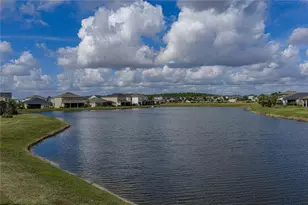 34155 Evergreen Hill Ct, Wesley Chapel, FL 33545 - Photo 51