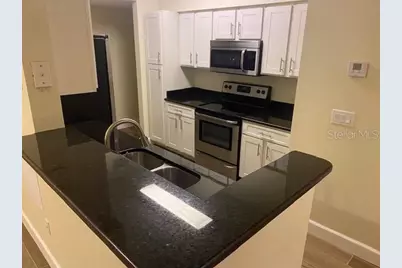 1810 E Palm Avenue #1101, Tampa, FL 33605 - Photo 3