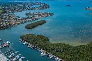 1332 Pasadena Ave S, South Pasadena, FL 33707 - Photo 67