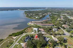 513 Oakwood Blvd, Oldsmar, FL 34677 - Photo 49