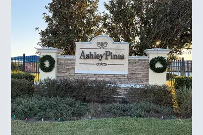 30750 Temple Stand Avenue, Wesley Chapel, FL 33543 - Photo 49