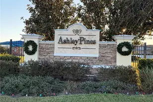 30750 Temple Stand Ave, Wesley Chapel, FL 33543 - Photo 49