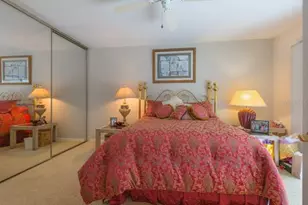 346 Carson Ln, Palm Harbor, FL 34684 - Photo 23