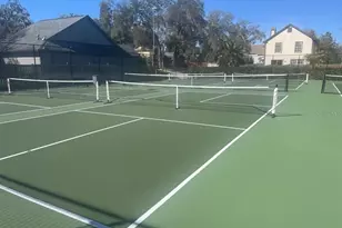 346 Carson Ln, Palm Harbor, FL 34684 - Photo 61