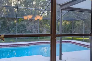 346 Carson Ln, Palm Harbor, FL 34684 - Photo 19