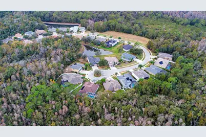 17388 Emerald Chase Drive, Tampa, FL 33647 - Photo 31