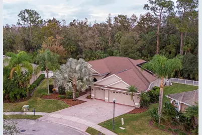 17388 Emerald Chase Drive, Tampa, FL 33647 - Photo 27