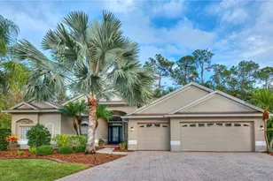 17388 Emerald Chase Dr, Tampa, FL 33647 - Photo 1