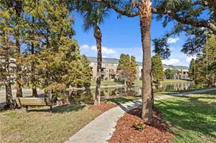 3023 Pointeview Dr, Tampa, FL 33611 - Photo 37