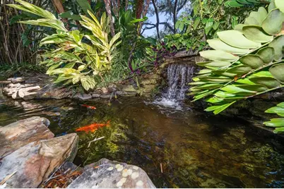 2617 Beagle Path Way, Palm Harbor, FL 34683 - Photo 51