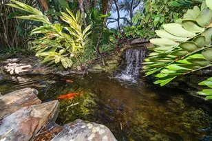 2617 Beagle Path Way, Palm Harbor, FL 34683 - Photo 51