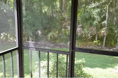 2949 Buttonbush Court, Palm Harbor, FL 34684 - Photo 21