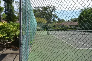 2949 Buttonbush Ct, Palm Harbor, FL 34684 - Photo 29