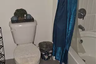 1220 Tahitian Sunrise Dr, Plant City, FL 33565 - Photo 37