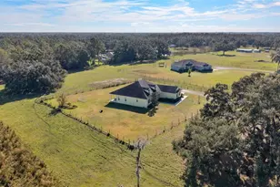 6628 Emma Jane Ln, Plant City, FL 33565 - Photo 45