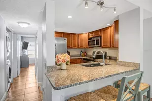 5155 Puritan Cir, Tampa, FL 33617 - Photo 13