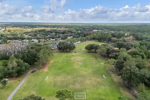 9481 Highland Oak Dr, Tampa, FL 33647 - Photo 45