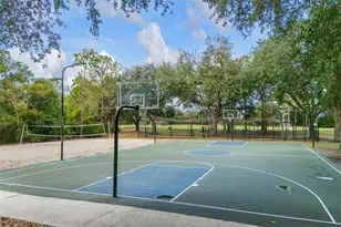 9481 Highland Oak Dr, Tampa, FL 33647 - Photo 49