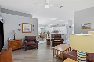 28907 Bay Tree Pl, Wesley Chapel, FL 33545 - Photo 19