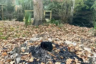 358 S Tuck, Inverness, FL 34450 - Photo 13