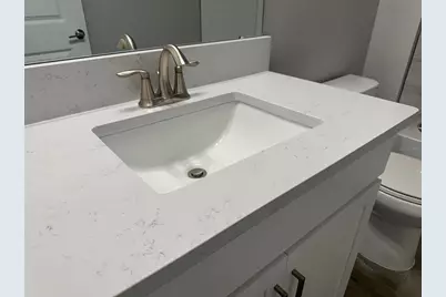 17216 Mango Shay Court, Land O Lakes, FL 34638 - Photo 31