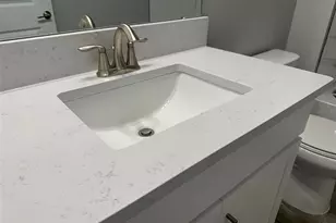 17216 Mango Shay Ct, Land O Lakes, FL 34638 - Photo 31