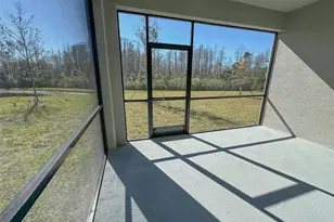 17216 Mango Shay Ct, Land O Lakes, FL 34638 - Photo 43