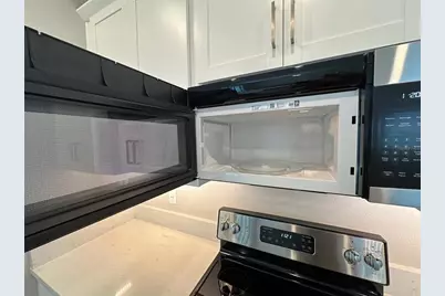 17216 Mango Shay Court, Land O Lakes, FL 34638 - Photo 13