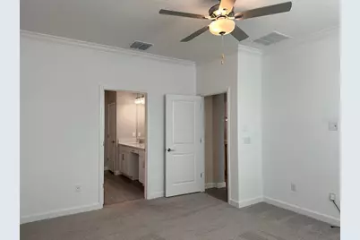 17216 Mango Shay Court, Land O Lakes, FL 34638 - Photo 49