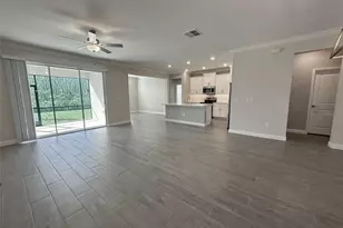 17216 Mango Shay Ct, Land O Lakes, FL 34638 - Photo 41