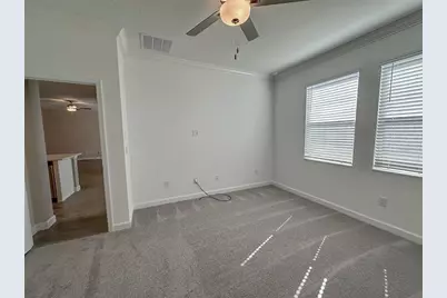 17216 Mango Shay Court, Land O Lakes, FL 34638 - Photo 37