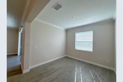 17216 Mango Shay Court, Land O Lakes, FL 34638 - Photo 35