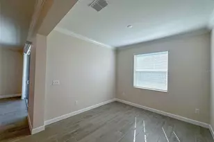 17216 Mango Shay Ct, Land O Lakes, FL 34638 - Photo 35