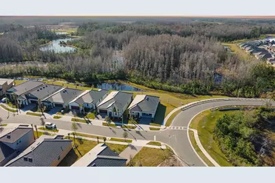 17216 Mango Shay Court, Land O Lakes, FL 34638 - Photo 55