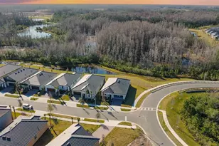 17216 Mango Shay Ct, Land O Lakes, FL 34638 - Photo 55