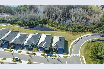 17216 Mango Shay Court, Land O Lakes, FL 34638 - Photo 47