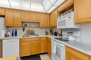 3301 Bayshore Blvd, Tampa, FL 33629 - Photo 15