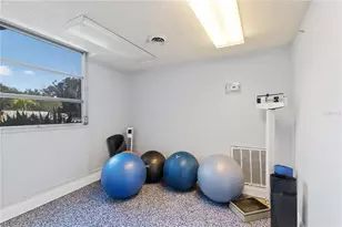 3315 58th Ave S, Saint Petersburg, FL 33712 - Photo 25