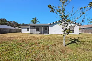 814 Satin Leaf Ave, Oldsmar, FL 34677 - Photo 23