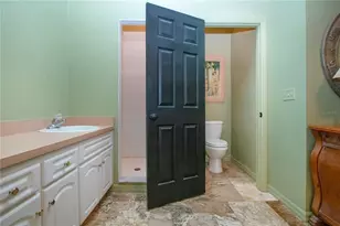 403 Indian Meadow Ct, Wimauma, FL 33598 - Photo 47