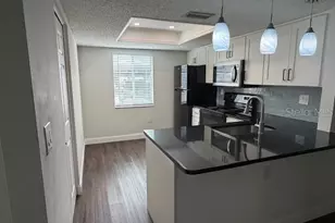 207 Palmetto Ct, Oldsmar, FL 34677 - Photo 13