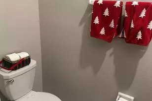 1498 Cassius St, Lutz, FL 33549 - Photo 15