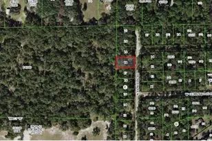 10452 N Dunedin Rd, Dunnellon, FL 34433 - Photo 1