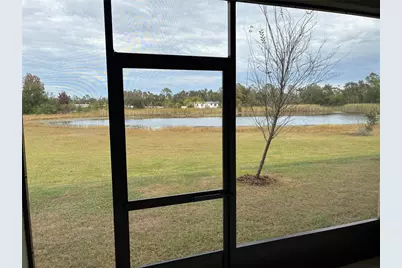 6274 Shiner St, Land O Lakes, FL 34638 - Photo 41