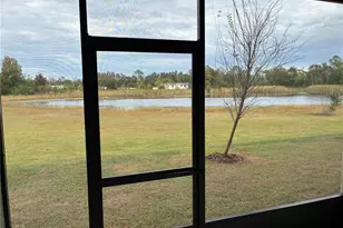 6274 Shiner St, Land O Lakes, FL 34638 - Photo 41