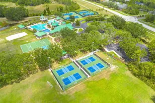 8606 Buttonbush Ct, Tampa, FL 33647 - Photo 39