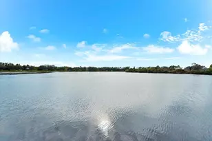 4326 Forest Creek Tr, Parrish, FL 34219 - Photo 71