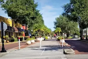 656 Windrush Bay Dr, Tarpon Springs, FL 34689 - Photo 61