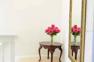 433 S Paula Dr, Dunedin, FL 34698 - Photo 23